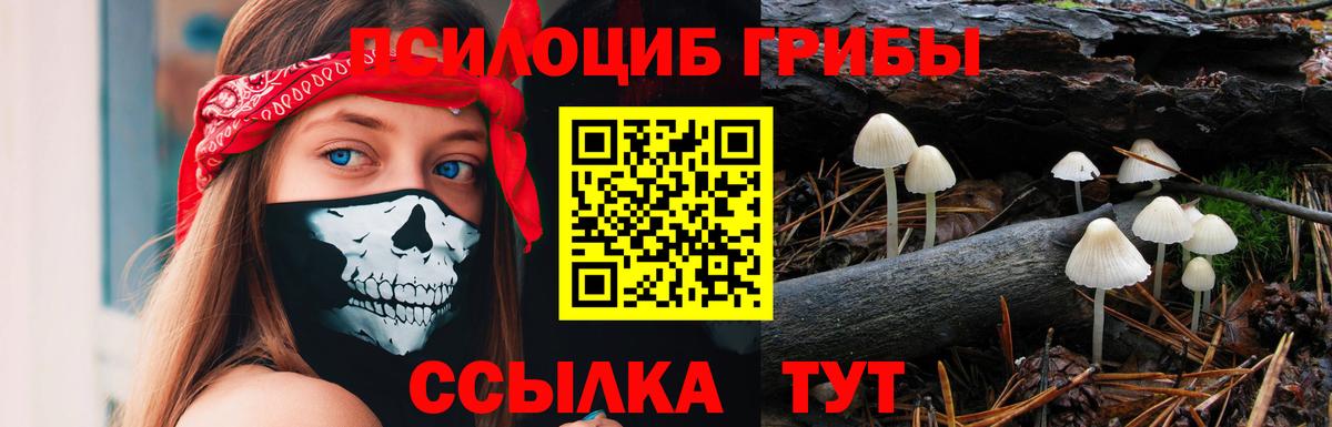 Лысьва  Псилоцибиновые грибы мухоморы  Вход с VPN 